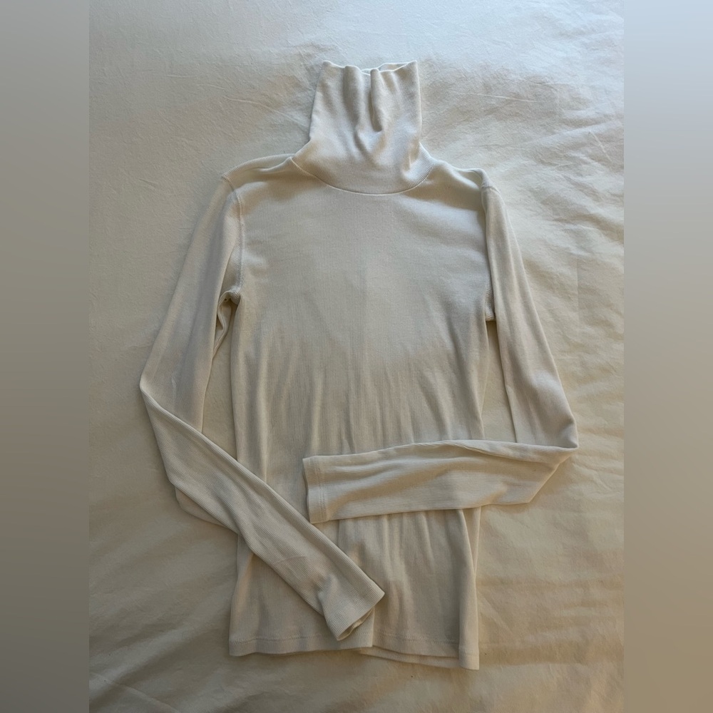 Everlane pima cotton turtleneck